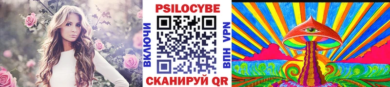 Псилоцибиновые грибы Magic Shrooms  darknet официальный сайт  Грайворон 